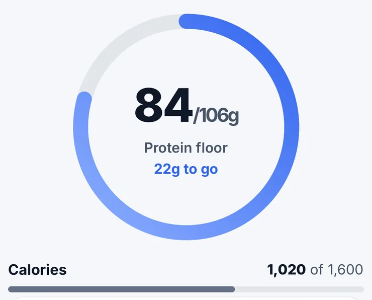 Protein ring: 84 of 106 g, 22 g to go, with calories at 1,020 of 1,600